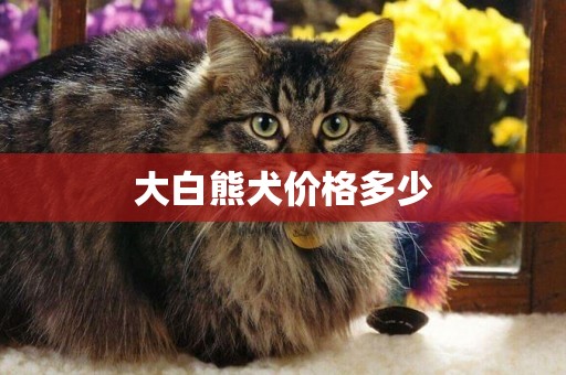 大白熊犬價格多少