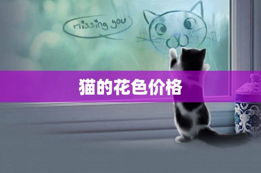 貓的花色價格