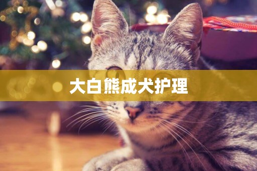 大白熊成犬護理