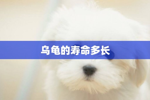 烏龜的壽命多長