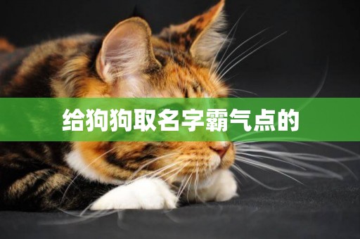 給狗狗取名字霸氣點的