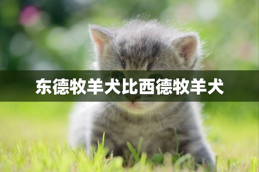 東德牧羊犬比西德牧羊犬