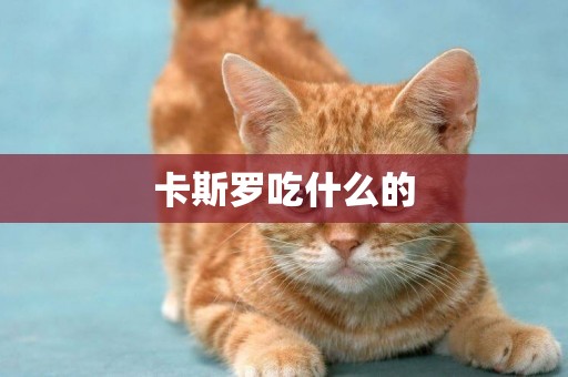 卡斯羅吃什么的