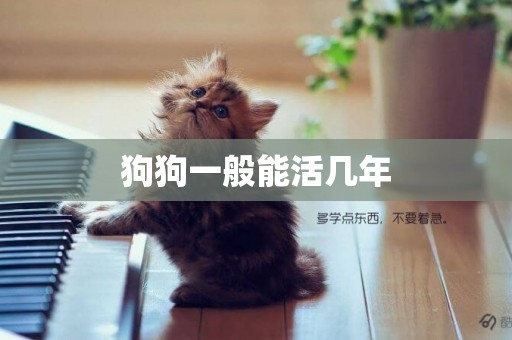 狗狗一般能活幾年