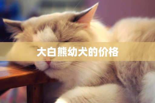 大白熊幼犬的價格
