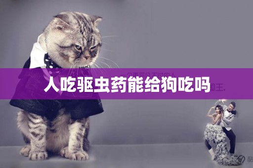 人吃驅蟲藥能給狗吃嗎