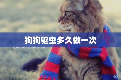 狗狗驅蟲多久做一次