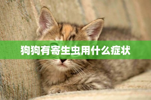 狗狗有寄生蟲用什么癥狀