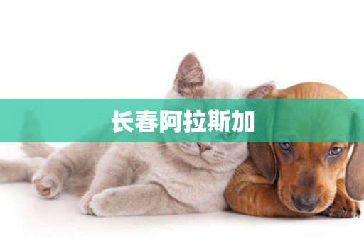 長春阿拉斯加