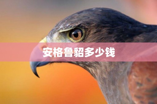 安格魯貂多少錢
