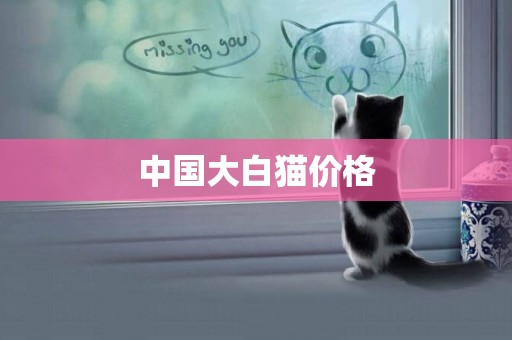 中國大白貓價格