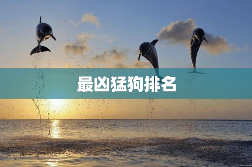 最兇猛狗排名
