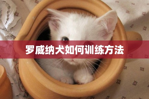 羅威納犬如何訓練方法