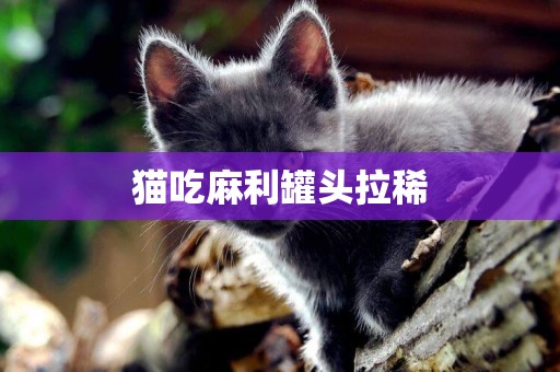 貓吃麻利罐頭拉稀