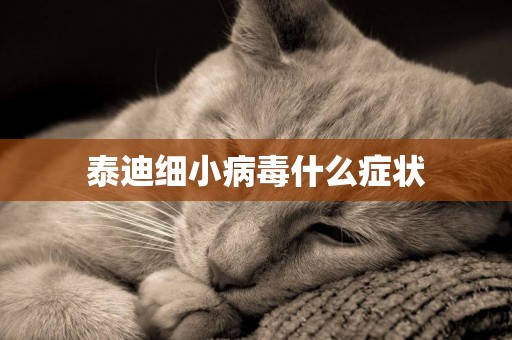 泰迪細小病毒什么癥狀