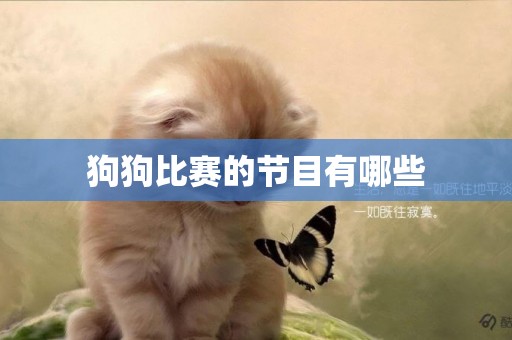 狗狗比賽的節目有哪些