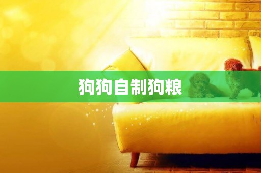 狗狗自制狗糧