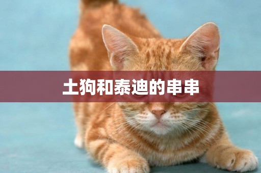 土狗和泰迪的串串