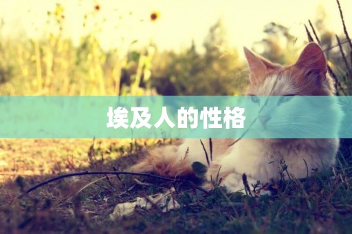 埃及人的性格