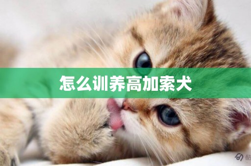 怎么訓養高加索犬
