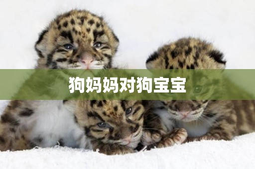 狗媽媽對狗寶寶