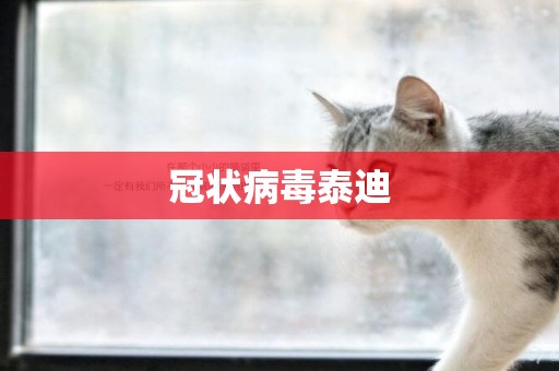 冠狀病毒泰迪