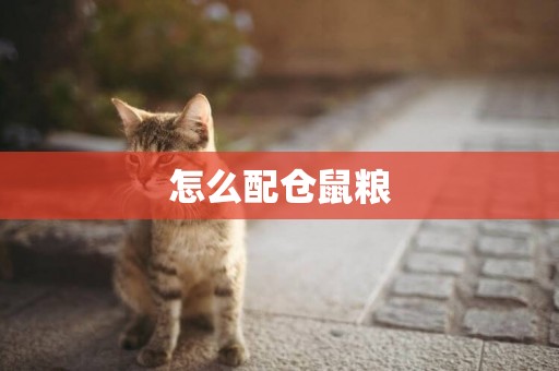 怎么配倉鼠糧