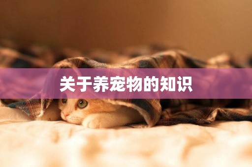 關于養寵物的知識
