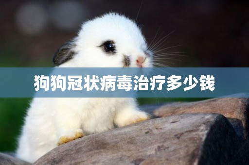 狗狗冠狀病毒治療多少錢