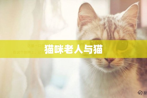 貓咪老人與貓