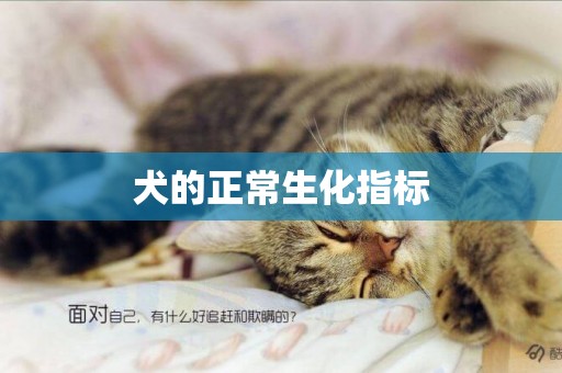 犬的正常生化指標