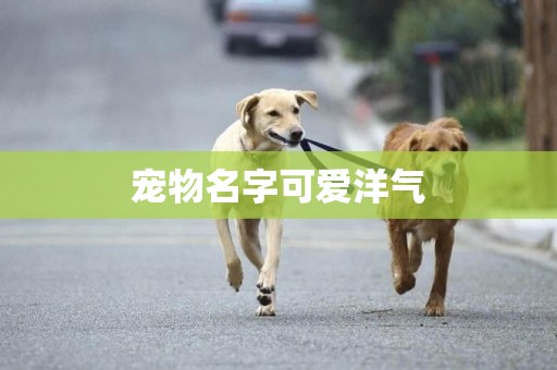 寵物名字可愛洋氣