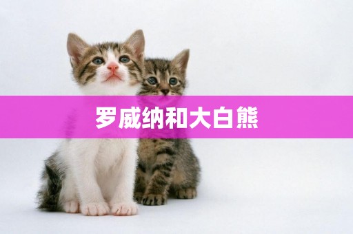 羅威納和大白熊