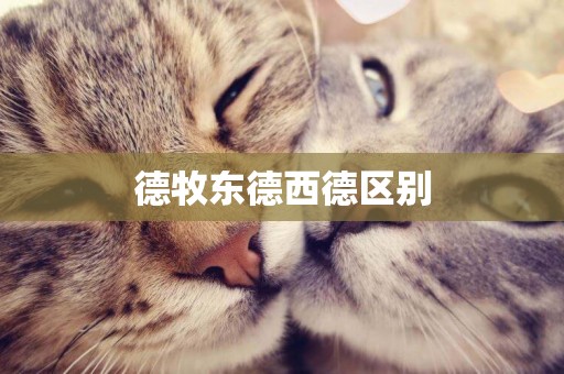 德牧東德西德區別