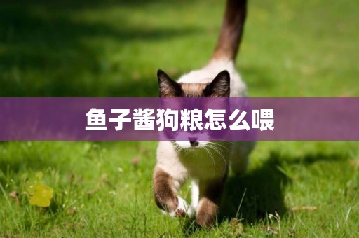 魚子醬狗糧怎么喂