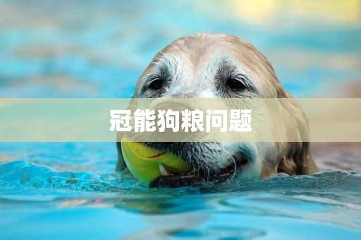 冠能狗糧問題