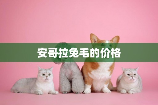 安哥拉兔毛的價格