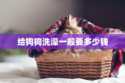 給狗狗洗澡一般要多少錢