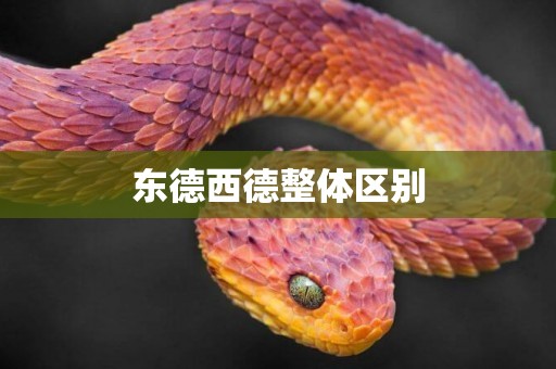 東德西德整體區別