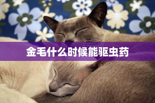 金毛什么時候能驅蟲藥
