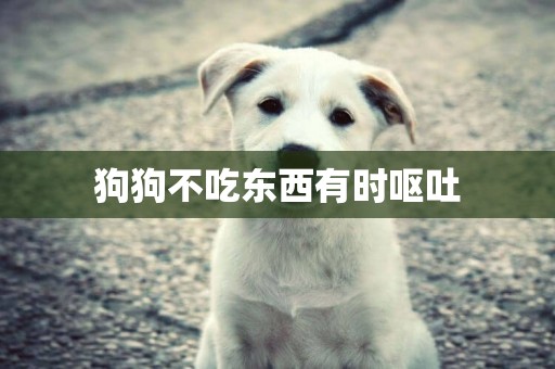 狗狗不吃東西有時嘔吐