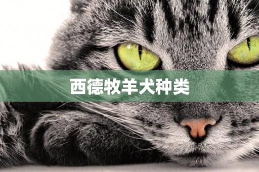 西德牧羊犬種類