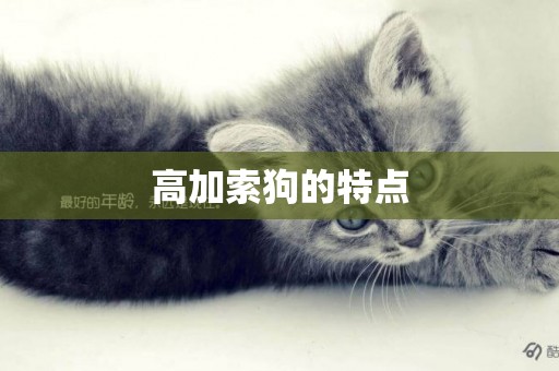 高加索狗的特點
