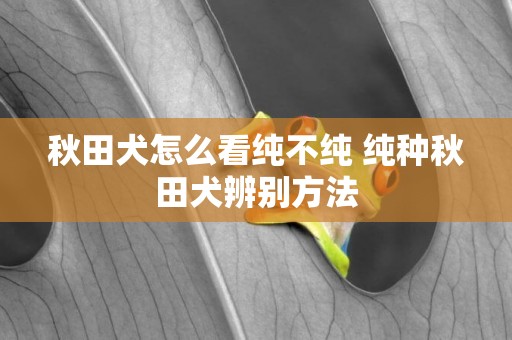 秋田犬怎么看純不純 純種秋田犬辨別方法