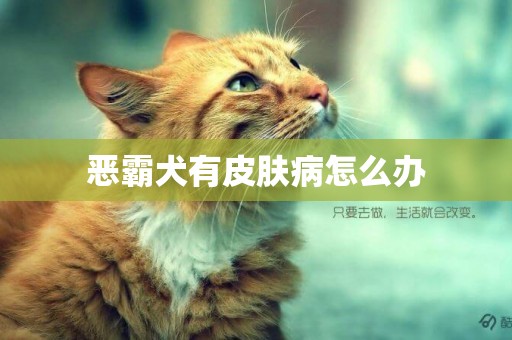 惡霸犬有皮膚病怎么辦