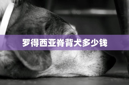 羅得西亞脊背犬多少錢