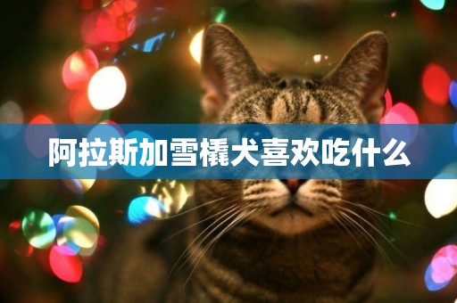 阿拉斯加雪橇犬喜歡吃什么