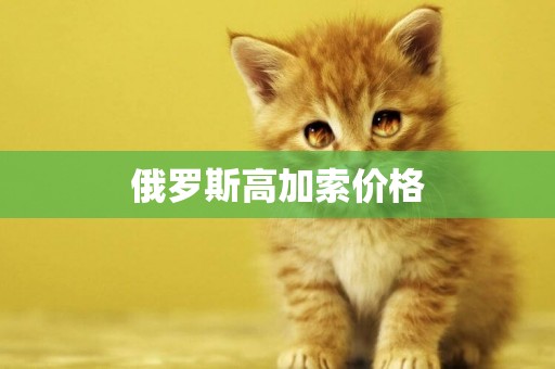 俄羅斯高加索價格