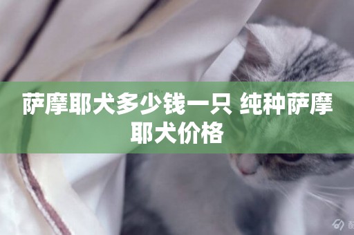 薩摩耶犬多少錢一只 純種薩摩耶犬價格