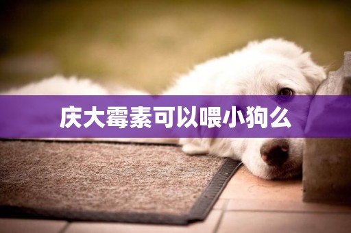 慶大霉素可以喂小狗么